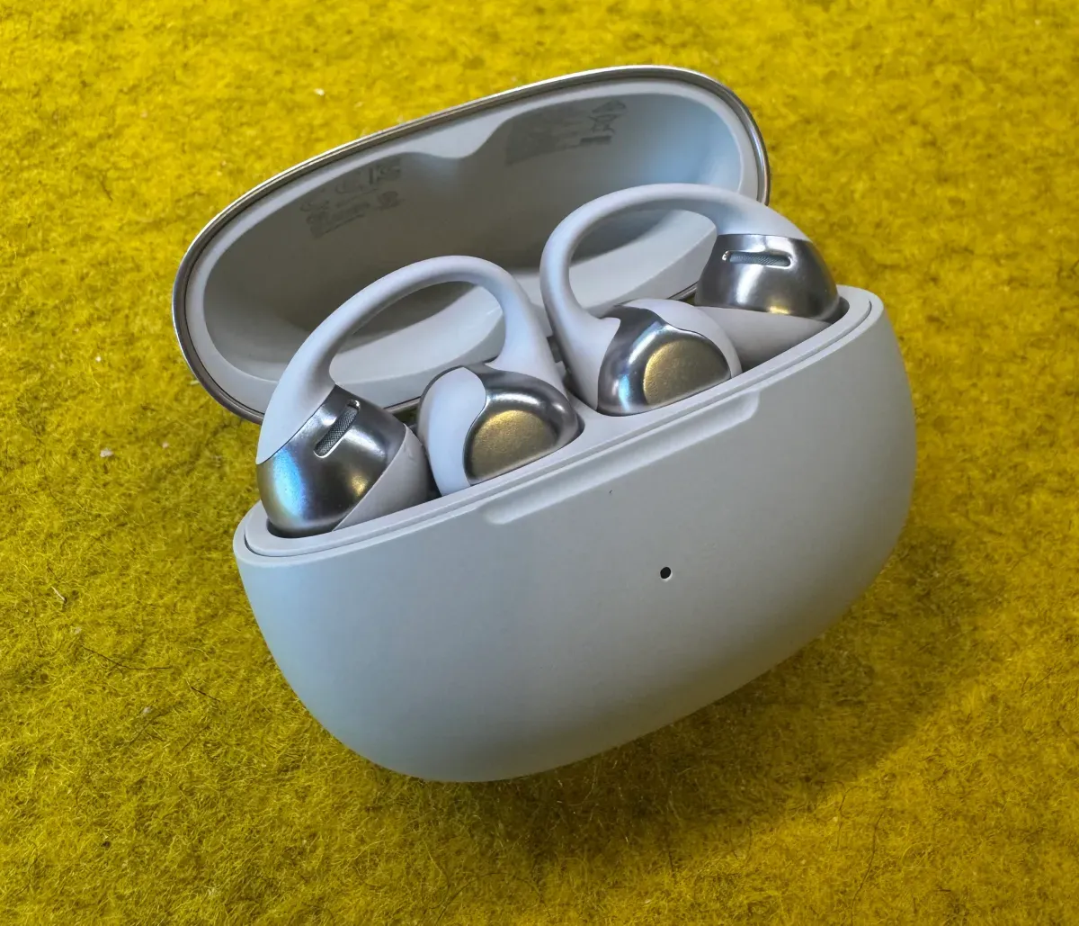 Shokz OpenDots One in the case